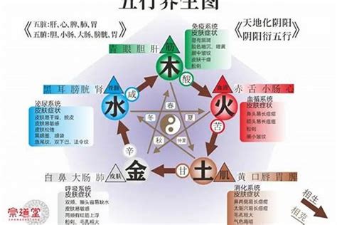 五行缺水火怎么办|五行缺水缺火要怎样？五行缺水和火怎么办